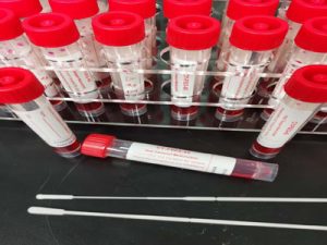 一次性使用病毒采样管（灭活款）