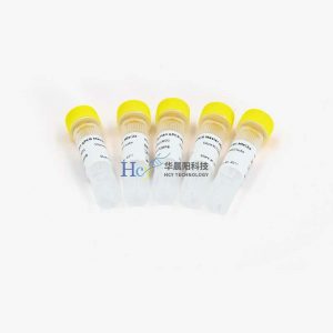 DNA聚合酶保存与复苏操作指南：关键步骤避免酶活性下降