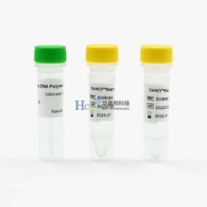 DNA聚合酶的”扩增密码”：支撑PCR实验的关键逻辑解析